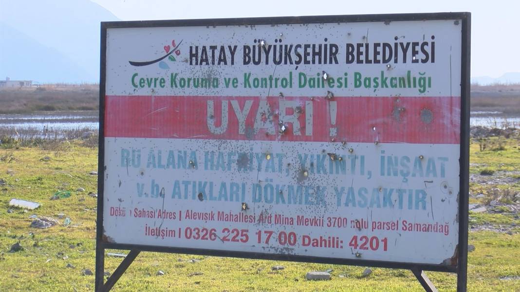 Yüz binlerce kuşun son sığınağı Milleyha: Yine çöp yığınları yükseliyor 6